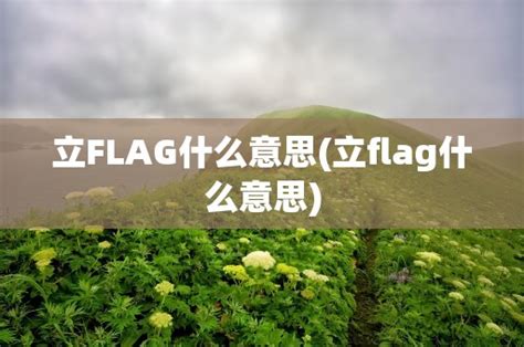 立旗 意思|立flag:詞語來源,示例引證,多重含義,不同的含義,矛盾的用法,解讀。